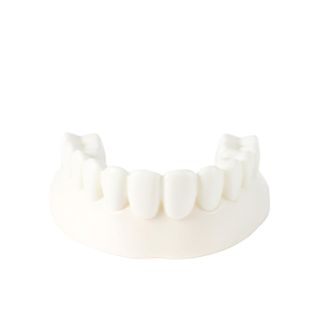 Close-up of a natural-looking ceramic dental crown fitted at Cadbury Dental, Birmingham
